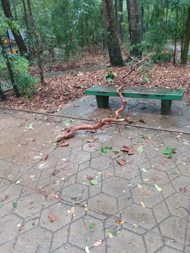 A Prefeitura de Araguari comunica que, devido às chuvas e aos fortes ventos da tarde desta terça-feira, 05 de novembro, algumas árvores caíram no Bosque Municipal John Kennedy, motivo pelo qual o mesmo ficará fechado por tempo indeterminado.