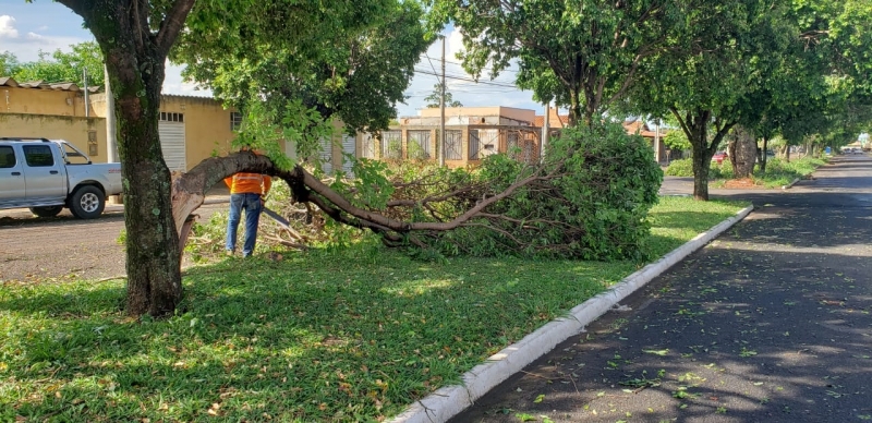 O prefeito Marcos Coelho emitiu determinação aos titulares das pastas de Serviços Urbanos, Obras e Trânsito e Transporte, para que iniciem de imediato um completo diagnóstico abrangendo o setor urbano, suburbano e periférico da cidade do Araguari, a fim de identificar os danos provocados pela forte precipitação pluviométrica ocorrida na tarde desta terça-feira (05) e também os reparos emergenciais necessários.