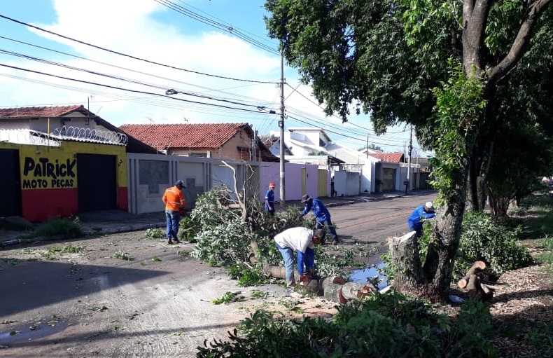 O prefeito Marcos Coelho emitiu determinação aos titulares das pastas de Serviços Urbanos, Obras e Trânsito e Transporte, para que iniciem de imediato um completo diagnóstico abrangendo o setor urbano, suburbano e periférico da cidade do Araguari, a fim de identificar os danos provocados pela forte precipitação pluviométrica ocorrida na tarde desta terça-feira (05) e também os reparos emergenciais necessários.