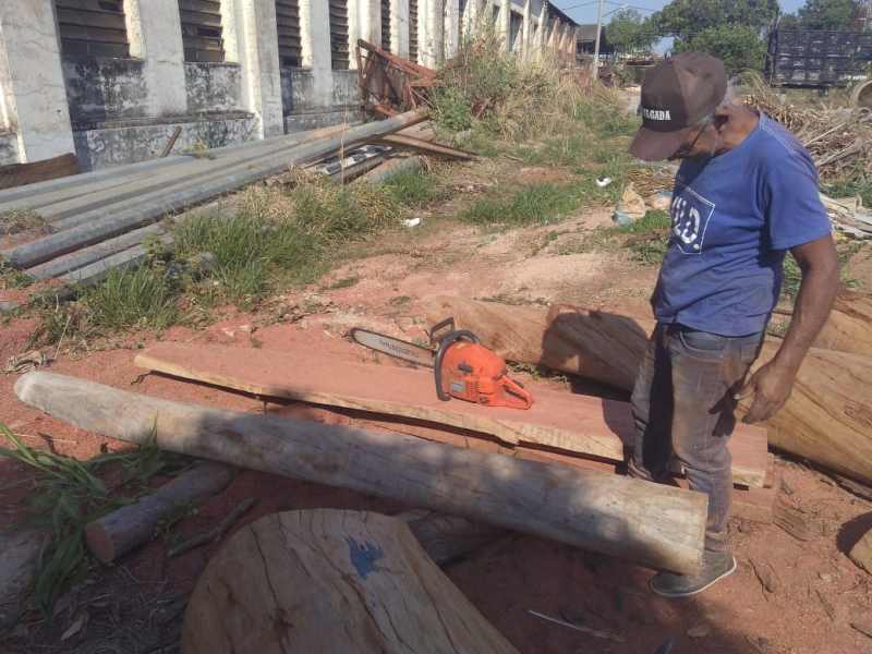 A Prefeitura de Araguari, por meio da Secretaria de Obras começa a dar uma destinação especial para a madeira retirada do grande eucalipto que foi retirado da Praça da Saudade, localizada na porta do Cemitério Bom Jesus.