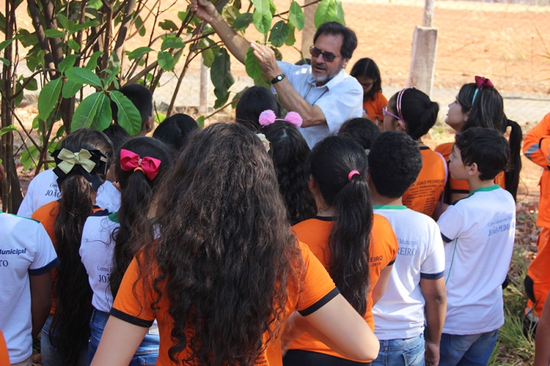 A Secretaria Municipal de Educação, por meio do Programa de Educação Ambiental Gira Sol, e em parceria com o Ministério Público, o 2º Pelotão de Polícia Militar de Meio Ambiente e 2ª Companhia de Bombeiros de Araguari deu início ontem a Semana Florestal 2019.