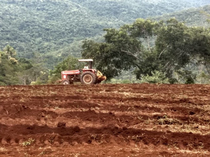 Secretaria de Agricultura auxilia produtores na preparação do solo para o plantio