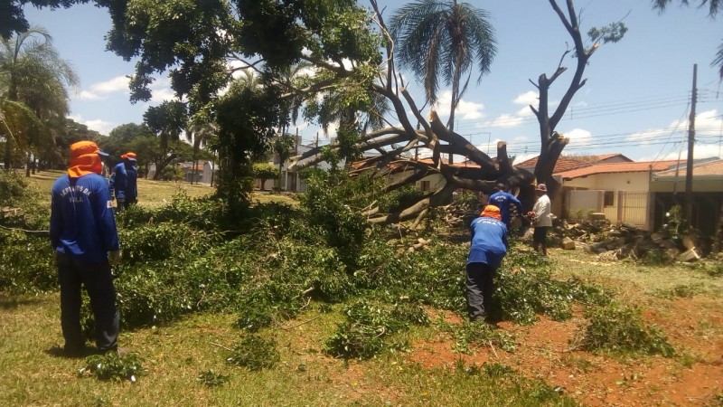 Prefeitura de Araguari inicia semana com serviços de limpeza em vários pontos da cidade