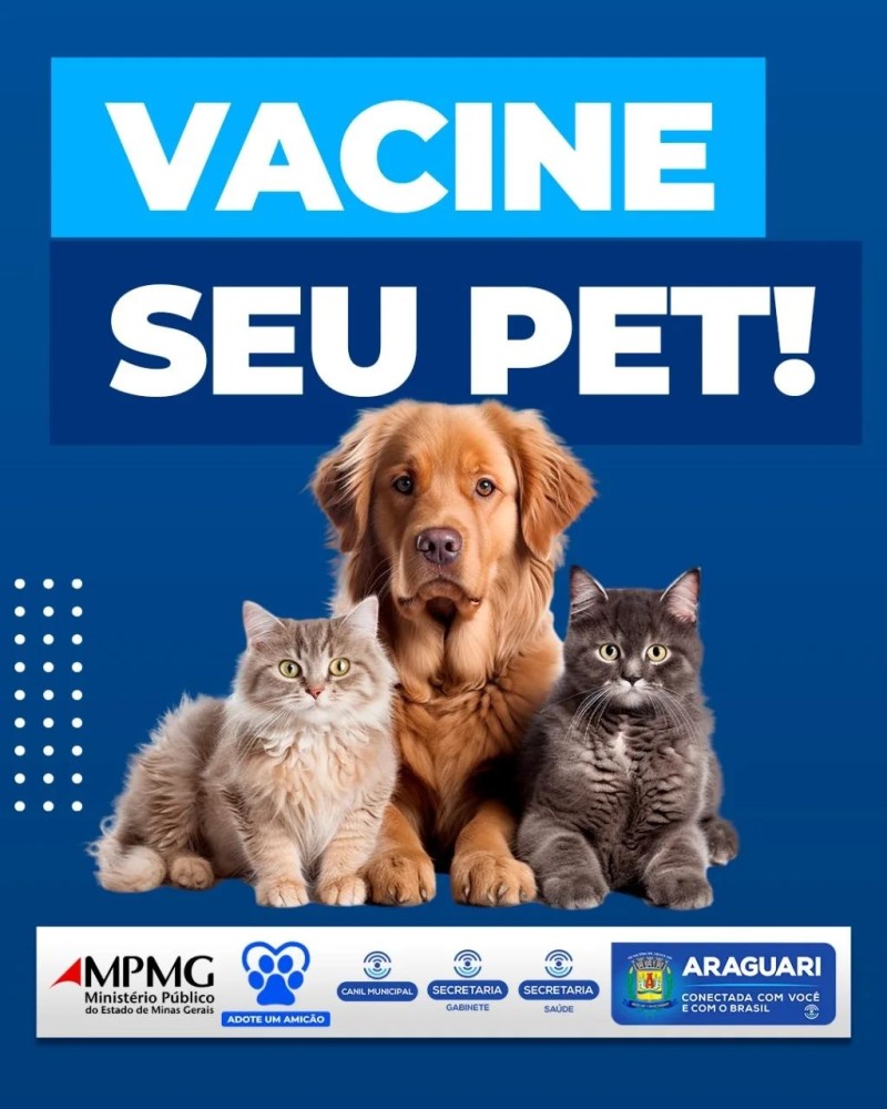Todas as vacinas disponibilizadas para cães e gatos são importantes para manter a saúde e o bem-estar desses animais. A secretaria de Saúde informa que as vacinas em cães previnem: Cinomose, coronavirose, Hepatite Infecciosa, Leishmaniose Visceral, Leptos