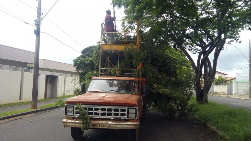 Prefeitura de Araguari promove limpeza de canteiros com poda de árvores