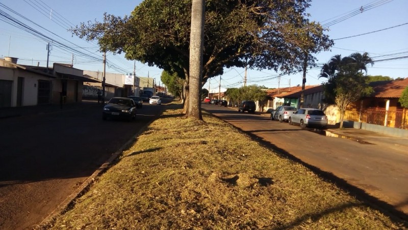 Secretaria de Serviços Urbanos promove limpeza com poda de árvores na Avenida Santos Dumont