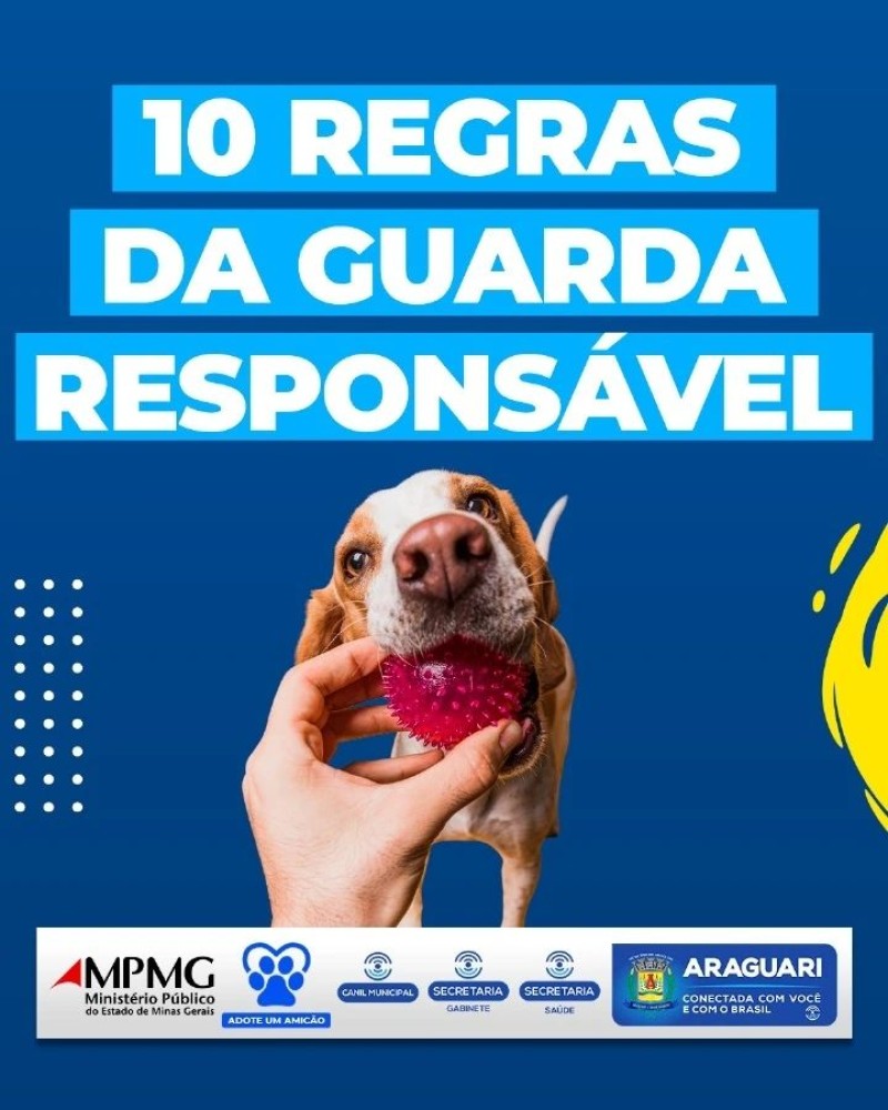 10 REGRAS DA GUARDA RESPONSÁVEL