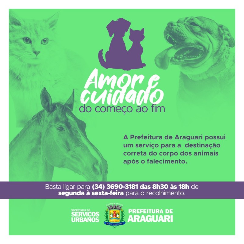 Prefeitura disponibiliza serviço de recolhimento de animais mortos