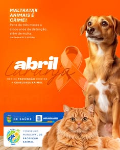 Abril Laranja: mês de conscientização e combate aos maus-tratos aos animais. Campanha alerta para a importância do respeito e proteção aos animais, incentivando a adoção responsável, denúncias de violência e apoio a abrigos e ONGs. Juntos, podemos constru