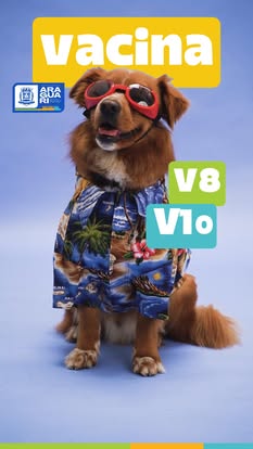 Prefeitura de Araguari promove dia de vacinação para pets no Parque de Exposições. Proteja seu companheiro de quatro patas contra doenças com as vacinas disponíveis para cães e gatos. Não perca essa oportunidade de garantir a saúde e bem-estar do seu anim