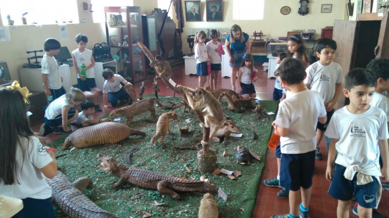 Exposição “História Natural” foi realizada em Araguari