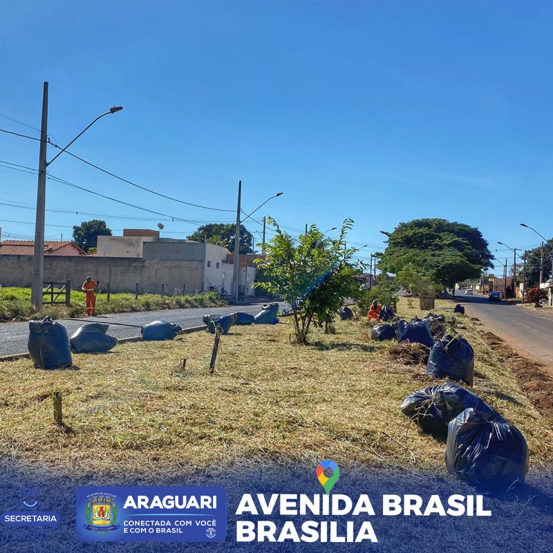 Avenida Brasil e o trabalho não para!