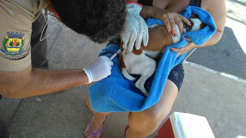 Vacinação antirrábica teve início em Araguari