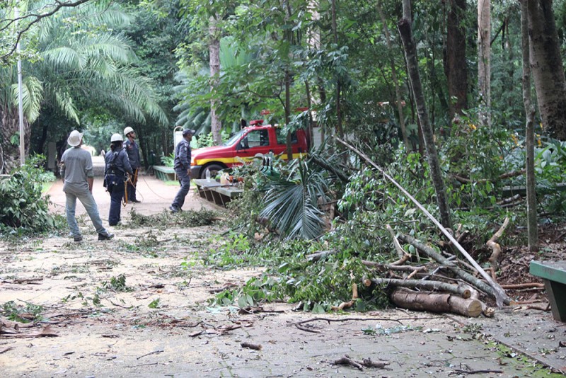  Manutenção no Bosque John Kennedy é iniciada na manhã desta quinta-feira (07)