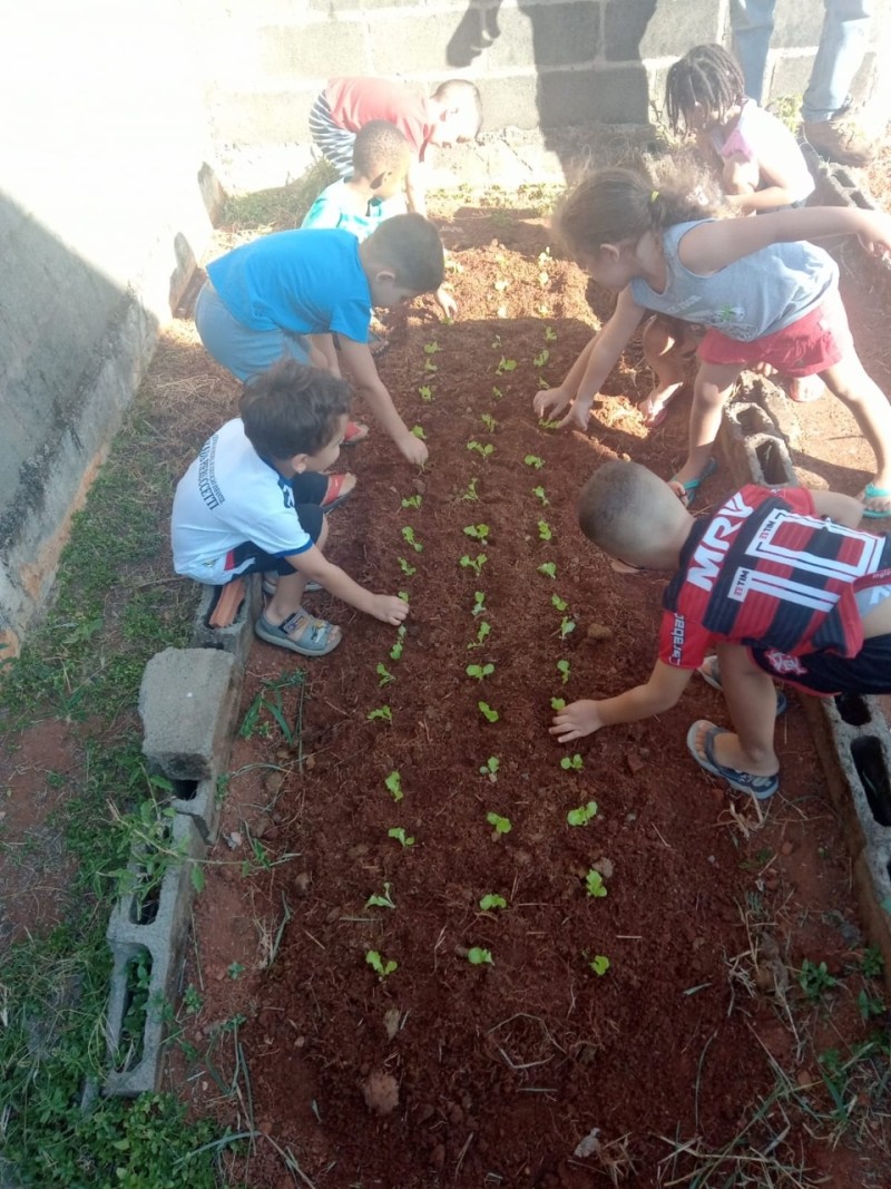 Hortinhas nos CMEIs Eloísa Marques Nunes e Wanda Pierucetti