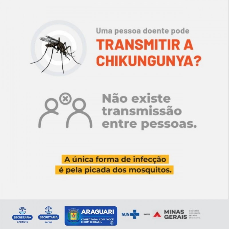 Fique atento a forma de transmissão da Chikungunya.