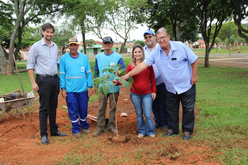 Prefeitura de Araguari promove retirada e replantio de árvores