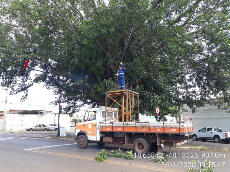 Prefeitura realiza poda de árvores que obstruem a visibilidade dos semáforos