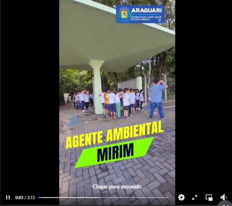 Agente Ambiental Mirim