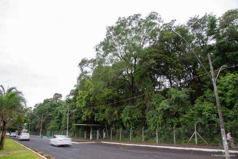 Prefeitura de Araguari homologa processo licitatório para revitalização do bosque John Kennedy