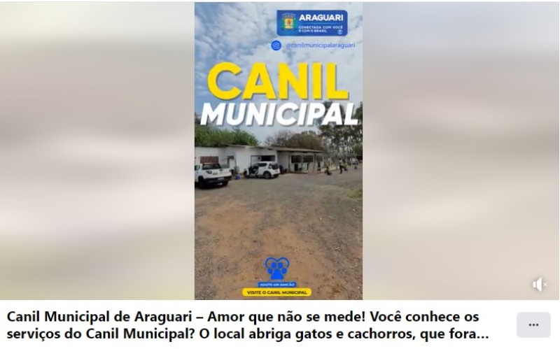 Canil Municipal de Araguari – Amor que não se mede!