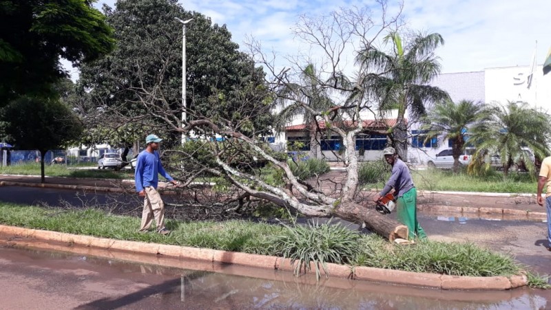 Prefeitura garante limpeza de vias públicas em toda cidade