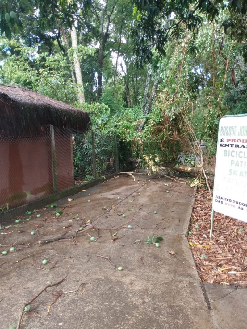 Bosque Municipal John Kennedy ficará fechado para reparos após forte chuva