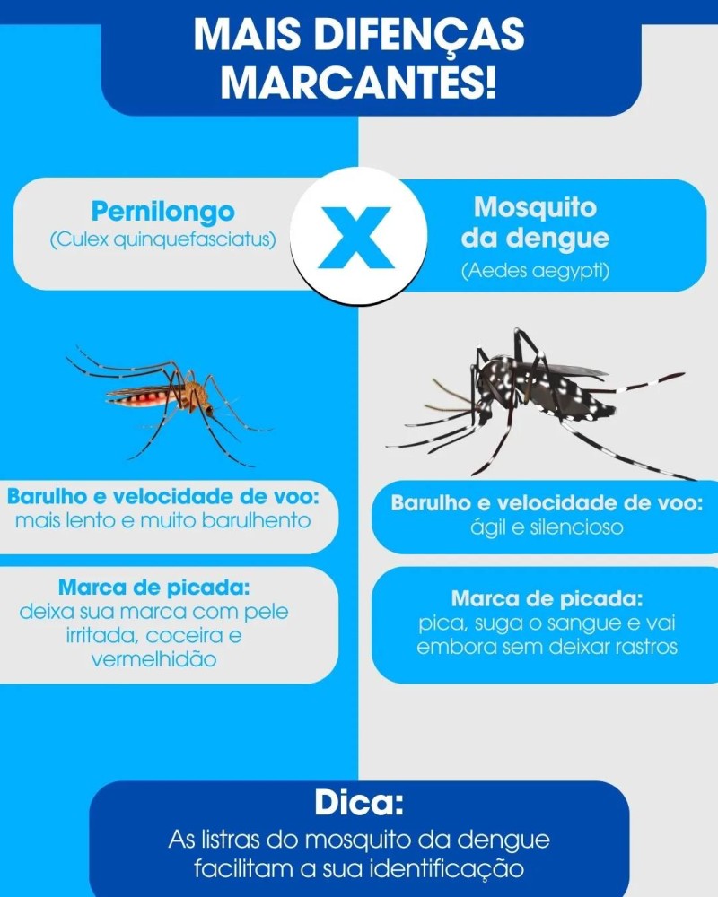 Araguari contra a Dengue