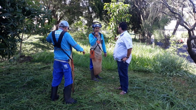 Prefeitura intensifica trabalho de limpeza nas avenidas de Araguari