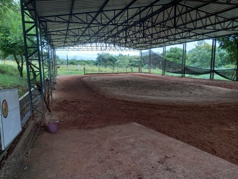 Educação de Araguari em Movimento