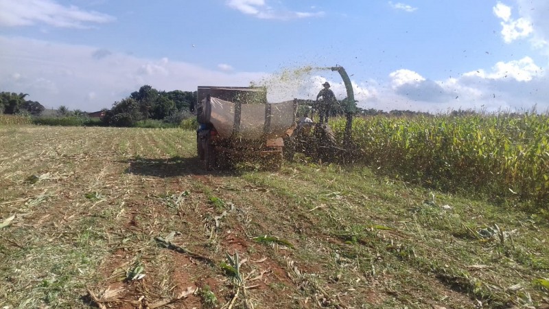 Secretaria de Agricultura auxilia produtores rurais em Araguari