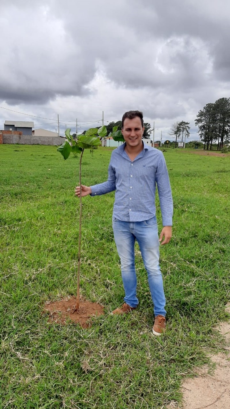 Mudas de árvores são plantadas e praça importante da cidade