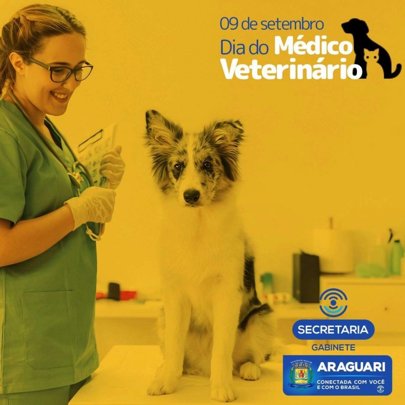 9 de setembro: Dia do Médico Veterinário