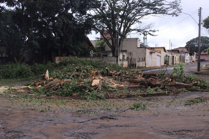 Secretaria de Meio Ambiente realiza manutenção no Parque Municipal Mata do Desamparo