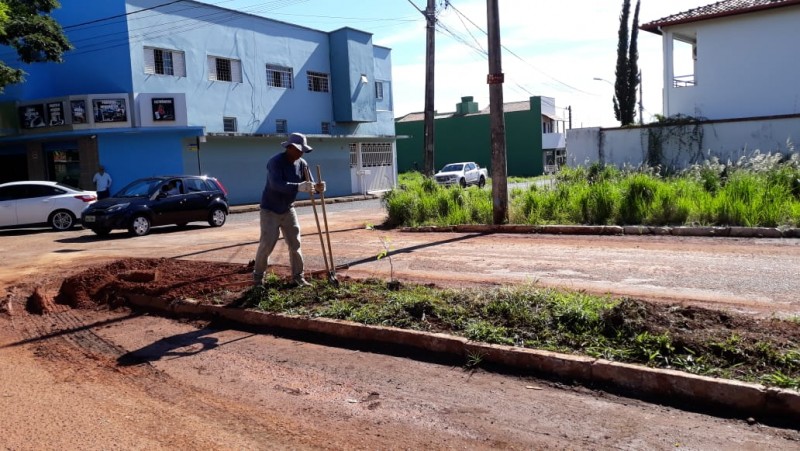 Prefeitura faz replantio de árvores na Avenida Hugo Alessi