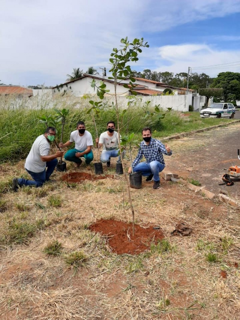 Município disponibiliza arborização em área verde no Bairro Sibipiruna