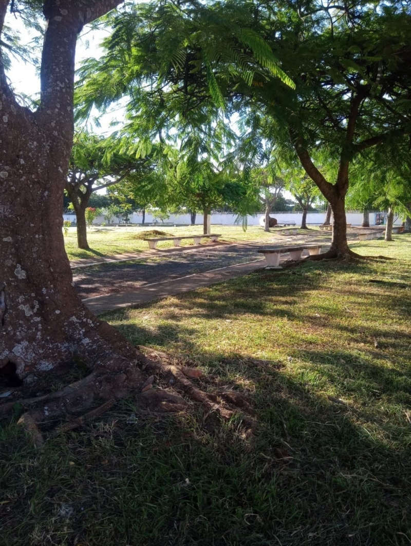 A Prefeitura de Araguari, através da Secretaria de Serviços Urbanos e Distritais, aumentou o número de serviços realizados na limpeza das avenidas e ruas do município. Como sempre ressaltado, aproveitando o período sem chuvas constantes e presença de sol forte, o serviço segue sendo realizado.