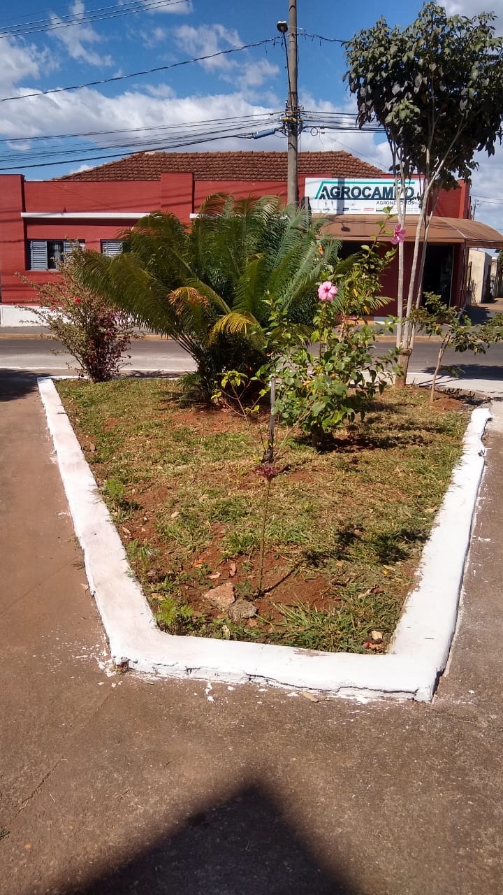 A prefeitura de Araguari, através, da secretaria de Obras revitalizou a praça Pedro Teixeira, localizada no bairro Bosque. Foram realizados trabalhos de limpeza, jardinagem, reparo do calçamento e pintura do meio- fio.