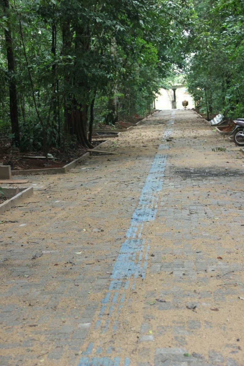 A prefeitura de Araguari, atrav&eacute;s da secretaria de Meio Ambiente continua as obras de revitaliza&ccedil;&atilde;o do bosque John Kennedy, localizado na avenida Minas Gerais. O valor das obras &eacute; parte oriundo de recurso pr&oacute;prio e outra parte do fundo municipal de Defesa Ambiental.