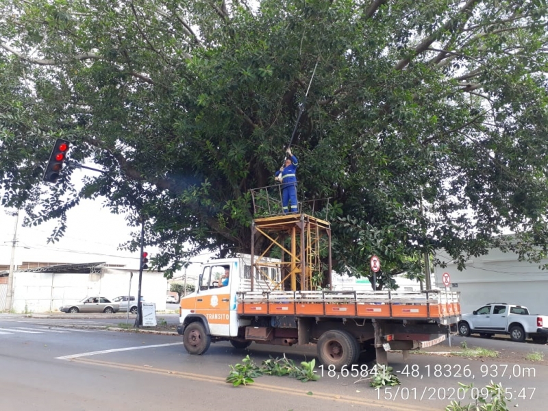 A Prefeitura de Araguari, por meio da Secretaria de Serviços Urbanos e com a parceria da Secretaria de Trânsito, Transporte e Mobilidade Urbana trabalha nesta semana na desobstrução dos semáforos instalados nas vias públicas.