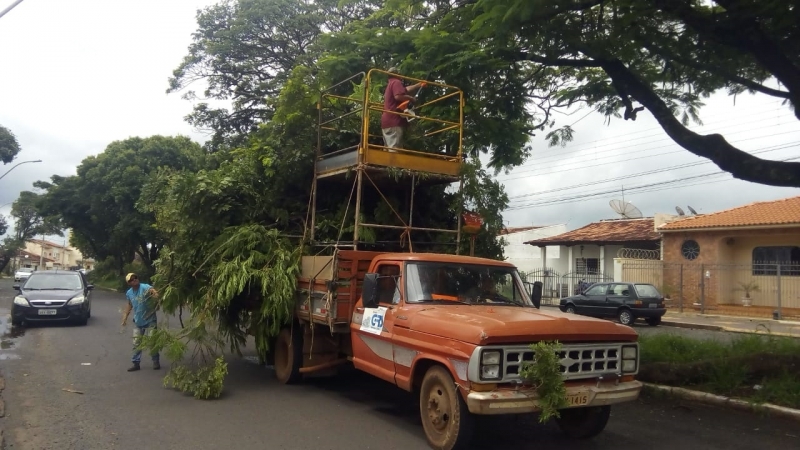 A Prefeitura de Araguari, através da Secretaria de Serviços Urbanos e Distritais, trabalhou no final de semana executando a poda de árvores na cidade. O serviço foi realizado no canteiro central da Avenida Batalhão Mauá neste sábado e domingo. Foi realizada a poda e retirada dos galhos de grande porte que estavam correndo o risco de cair e/ou atrapalhando o trânsito de veículos ou causando risco de acidentes.