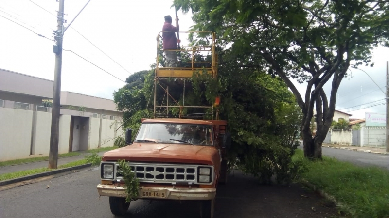 A Prefeitura de Araguari, através da Secretaria de Serviços Urbanos e Distritais, trabalhou no final de semana executando a poda de árvores na cidade. O serviço foi realizado no canteiro central da Avenida Batalhão Mauá neste sábado e domingo. Foi realizada a poda e retirada dos galhos de grande porte que estavam correndo o risco de cair e/ou atrapalhando o trânsito de veículos ou causando risco de acidentes.