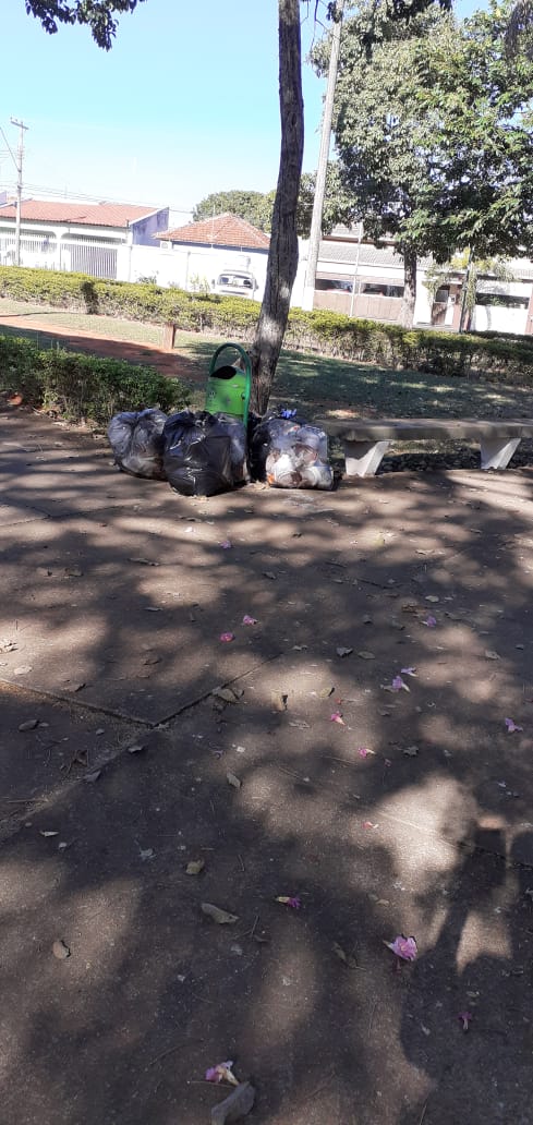 A prefeitura de Araguari, através da secretaria de Serviços Urbanos e Distritais atuou hoje com equipe própria em pontos diferentes da cidade promovendo a limpeza de logradouros públicos.