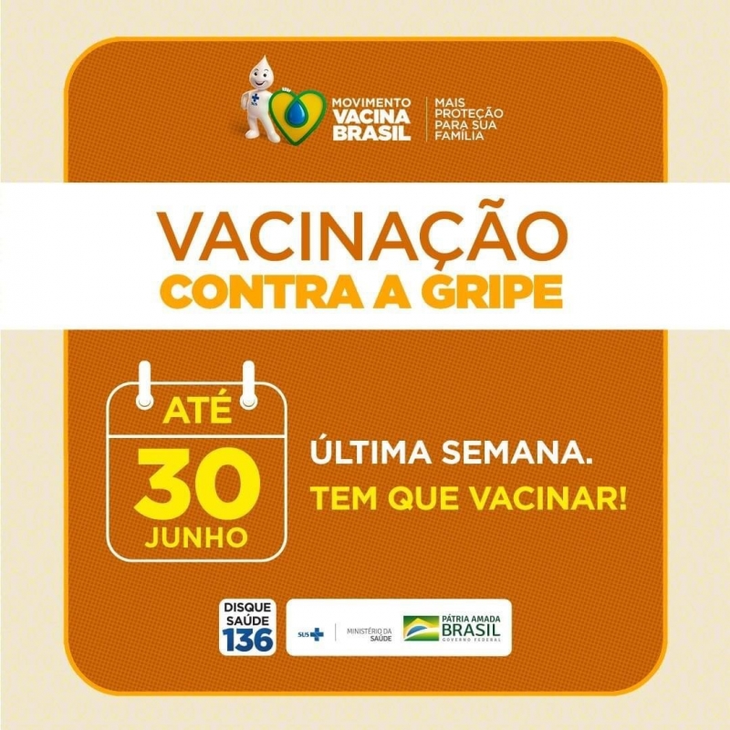 A campanha de vacinação contra a gripe encerra na próxima terça-feira, 30, após ser prorrogada pelo Ministério da Saúde, pois até o momento pouco mais de 40% das pessoas que fazem parte do grupo prioritário não haviam se imunizado.