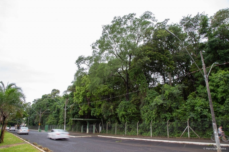 A prefeitura de Araguari, por meio da secretaria de Meio Ambiente, publicou no correio oficial do município, o encerramento do processo licitatório de nº 064/2020 na modalidade tomada de preços, para a contratação de empresa para execução das obras e recuperação do bosque John Kennedy. A empresa aprovada foi a Constral Construtora Araújo LTDA.