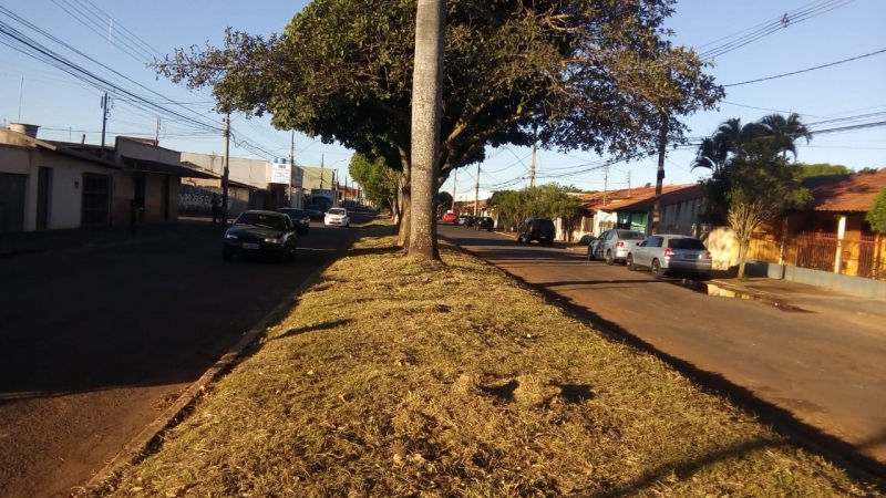 A Prefeitura de Araguari, através da Secretaria de Serviços Urbanos e Distritais, efetuou a limpeza dos canteiros com poda de árvores em toda extensão da Avenida Santos Dumont. Os serviços foram realizados desde o Bairro Santa Helena até o encontro com a Avenida Vereador Geraldo Teodoro Silva, no bairro Jardim Regina.