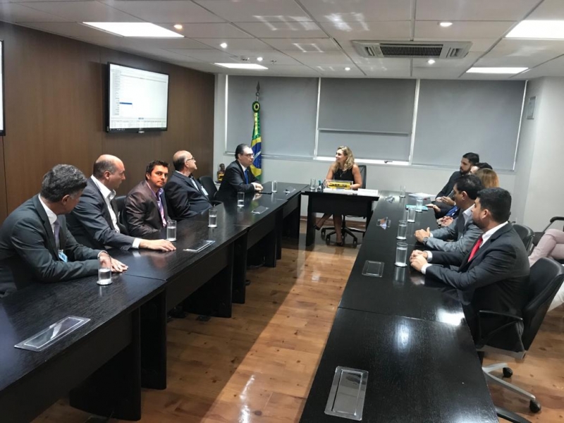 O Prefeito Marcos Coelho esteve na tarde desta quarta-feira (4), em Brasília, acompanhado de uma comitiva com autoridades araguarinas, que se reuniram com a Presidente do FNDE - Fundo Nacional Desenvolvimento da Educação, Karine Silva dos Santos.