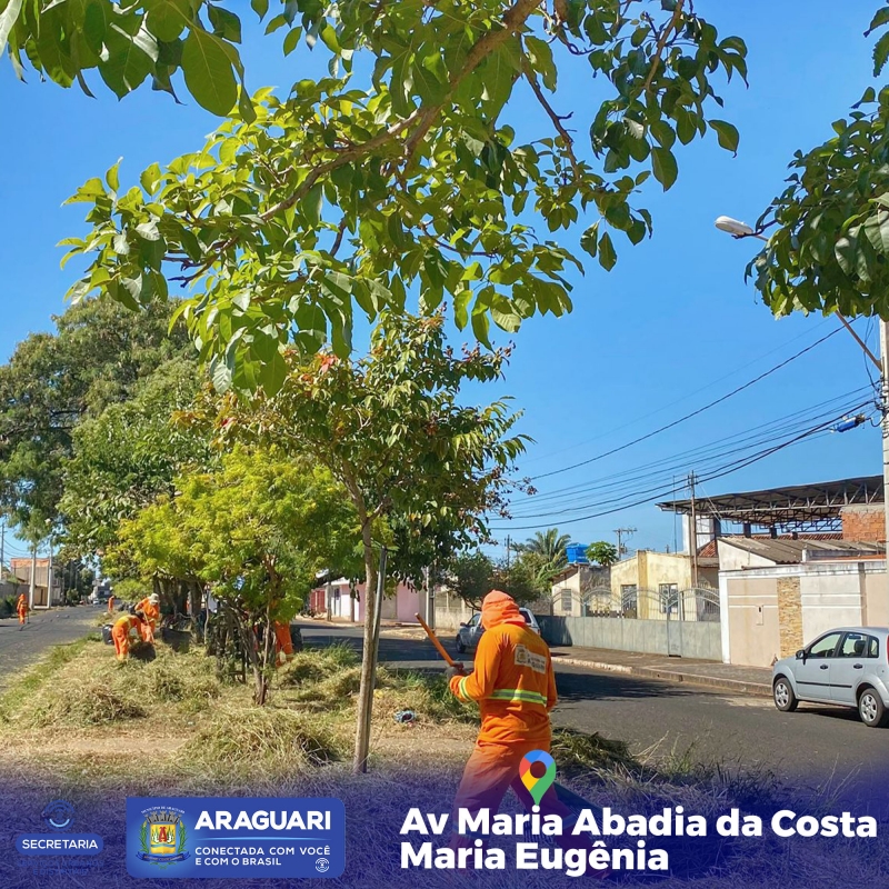 Nesta sexta (23), os trabalhos foram finalizados na Avenida Av Maria Abadia da Costa bairro: Maria Eugênia Os profissionais ligados à Secretaria usam maquinários para acelerar a limpeza.