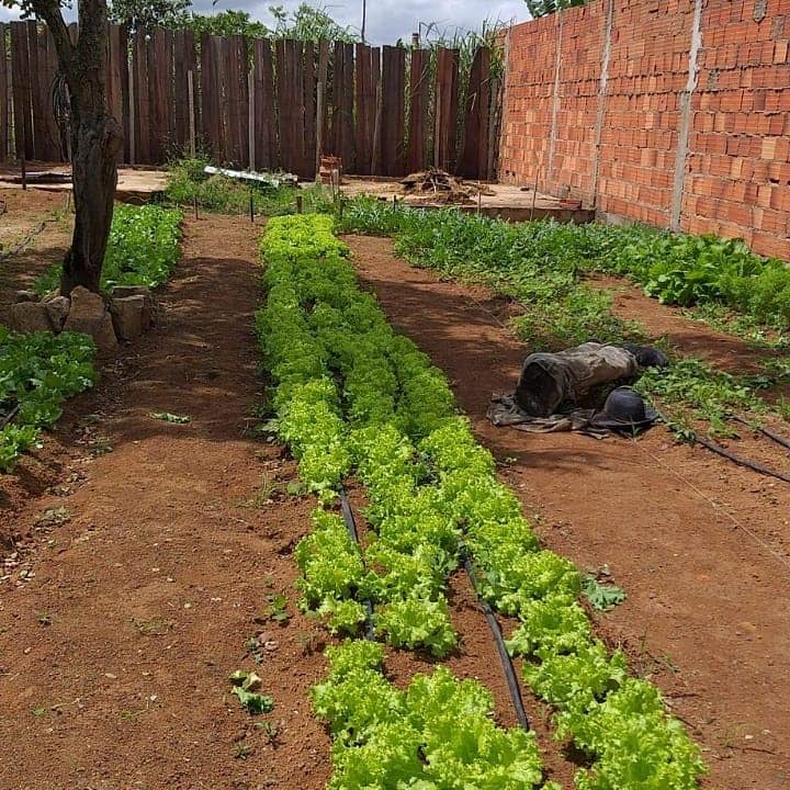 Horta comunitária idealizada pela Secretaria do Trabalho e Ação Social juntamente com projeto (A) colher, composto por alunos do curso de medicina, Agronomia e Engenharia Cívil do IMEPAC. O projeto foi implantado em uma comunidade carente com doação de insumos, mudas, suporte de irrigação e orientação para os moradores executarem o manejo de plantio e cuidados da horta e hoje a colheita é realizada com sucesso.