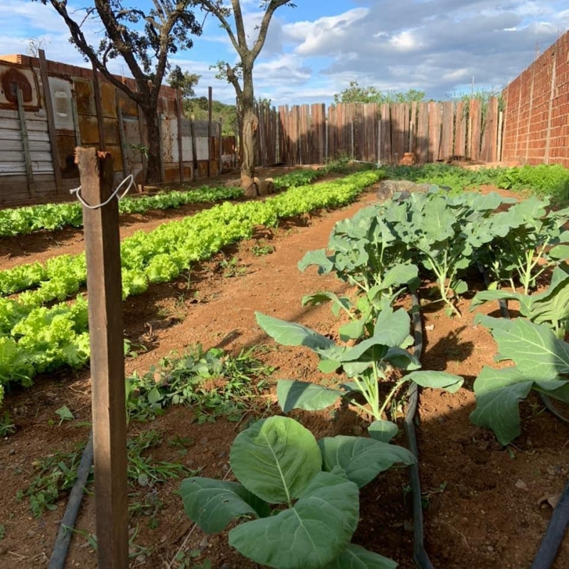 Horta comunitária idealizada pela Secretaria do Trabalho e Ação Social juntamente com projeto (A) colher, composto por alunos do curso de medicina, Agronomia e Engenharia Cívil do IMEPAC. O projeto foi implantado em uma comunidade carente com doação de insumos, mudas, suporte de irrigação e orientação para os moradores executarem o manejo de plantio e cuidados da horta e hoje a colheita é realizada com sucesso.